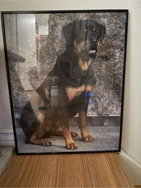 Source Unknown Black and Tan Dog Wall Art Poster